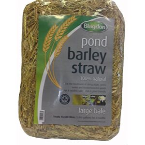 Blagdon Pond Barley Straw Bale, Large, Clears Algae, Green Water and Blanketweed, Natural, for Ponds up to 13,500 Litres Blagdon Pond Barley Straw Bale, Large, Clears Algae, Green Water and Blanketweed, Natural, for Ponds up to 13,500 Litres