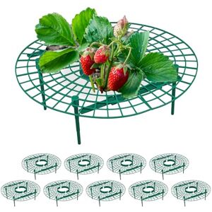 Relaxdays 10x Strawberry Gripper, Snail and Slug Protection, Plastic, Grid Against Rot & Mould, 10 x 30 x 30 cm, Green Relaxdays 10x Strawberry Gripper, Snail and Slug Protection, Plastic, Grid Against Rot & Mould, 10 x 30 x 30 cm, Green