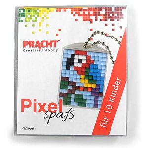 Pracht Creatives Hobby Pixel P90058-07501 Fun Parrot Craft Set with 10 Medallions for Pixeling, Easy Plug-in System Without Ironing or Gluing, for Children's Birthdays, Craft Afternoons, Schools and Nurseries Pracht Creatives Hobby Pixel P90058-07501 Fun Parrot Craft Set with 10 Medallions for Pixeling, Easy Plug-in System Without Ironing or Gluing, for Children's Birthdays, Craft Afternoons, Schools and Nurseries
