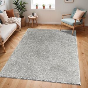 Livabliss Shaggy Rug Shaggy Rug Modern Berber Rug Living Room 120x170 cm, Soft Shaggy Rugs for Bedroom Neutral Boho Fluffy Rug, Easy Care Plush Thick Pile Large Rug, Dark Grey Rug Livabliss Shaggy Rug Shaggy Rug Modern Berber Rug Living Room 120x170 cm, Soft Shaggy Rugs for Bedroom Neutral Boho Fluffy Rug, Easy Care Plush Thick Pile Large Rug, Dark Grey Rug