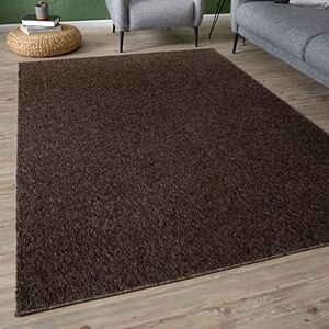 THE RUGS Low Pile Area Rugs – Modern Indoor Rugs for Living Room, Bedroom, Dining Room, Entryway – Non-Shedding (Brown, 80x150 cm) THE RUGS Low Pile Area Rugs – Modern Indoor Rugs for Living Room, Bedroom, Dining Room, Entryway – Non-Shedding (Brown, 80x150 cm)