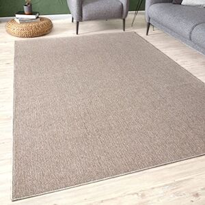 THE RUGS Low Pile Area Rugs – Modern Indoor Rugs for Living Room, Bedroom, Dining Room, Entryway – Non-Shedding (Beige, 120x170 cm) THE RUGS Low Pile Area Rugs – Modern Indoor Rugs for Living Room, Bedroom, Dining Room, Entryway – Non-Shedding (Beige, 120x170 cm)