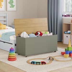 Vida Designs Arlington Toy Box, Wood in Grey, 100x40x48cm Storage Ottoman with Lift-Up Lid, Ideal for Toys, Bedding & Footstool Use Vida Designs Arlington Toy Box, Wood in Grey, 100x40x48cm Storage Ottoman with Lift-Up Lid, Ideal for Toys, Bedding & Footstool Use