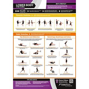 PosterFit Lower Body Stretching Dynamic & Static Stretches Laminated Home & Gym Poster FREE Online Video Training Support Size 841mm x 594mm (A1) Improves Personal Fitness & Flexibility PosterFit Lower Body Stretching Dynamic & Static Stretches Laminated Home & Gym Poster FREE Online Video Training Support Size 841mm x 594mm (A1) Improves Personal Fitness & Flexibility