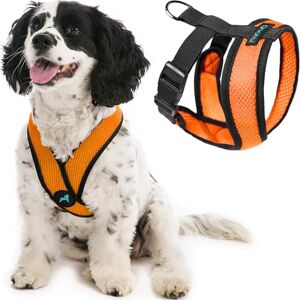 GOOBY Comfort X Head in Harness Orange, Medium No Pull Small Dog Harness Patented Choke-Free X Frame On The Go Dog Harness for Medium Dogs No Pull or Small Dogs for Indoor and Outdoor Use GOOBY Comfort X Head in Harness Orange, Medium No Pull Small Dog Harness Patented Choke-Free X Frame On The Go Dog Harness for Medium Dogs No Pull or Small Dogs for Indoor and Outdoor Use