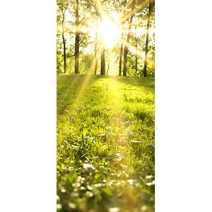 PeelitStickit Nature Wallpaper, Wall Mural ID-032, vinyl PeelitStickit Nature Wallpaper, Wall Mural ID-032, vinyl