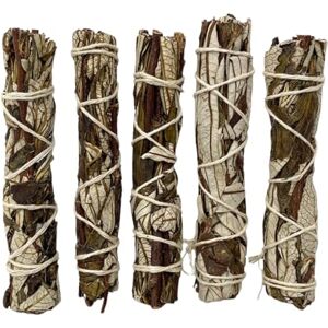 VIE Slimline Smudge Stick (Pack of 5, White Sage and Yerba Santa) VIE Slimline Smudge Stick (Pack of 5, White Sage and Yerba Santa)