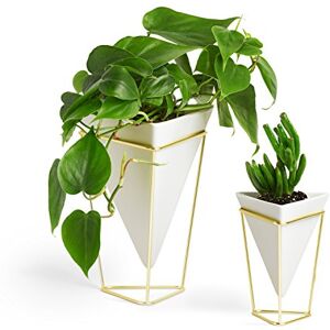 Umbra 1004372-524 Trigg Desk Set, White, Brass, Large, Small Umbra 1004372-524 Trigg Desk Set, White, Brass, Large, Small