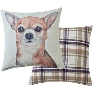 Maturi Viceni Chihuahua Filled Dog Cushion-43 x 43cm / 17 x 17-inch, Multi-Coloured, 43 x 43cm Maturi Viceni Chihuahua Filled Dog Cushion-43 x 43cm / 17 x 17-inch, Multi-Coloured, 43 x 43cm