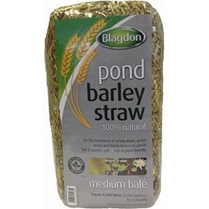Blagdon Pond Barley Straw Bale, Medium, Clears Algae, Green Water and Blanketweed, Natural, for Ponds up to 9, 000 Litres Blagdon Pond Barley Straw Bale, Medium, Clears Algae, Green Water and Blanketweed, Natural, for Ponds up to 9, 000 Litres