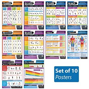 PosterFit Fitness & Training Gym Poster Essentials Set of 10 LARGE A2 (594mm x 420mm) Laminated Gym Workout Charts Includes Video Training Support by PosterFit Fitness & Training Gym Poster Essentials Set of 10 LARGE A2 (594mm x 420mm) Laminated Gym Workout Charts Includes Video Training Support by