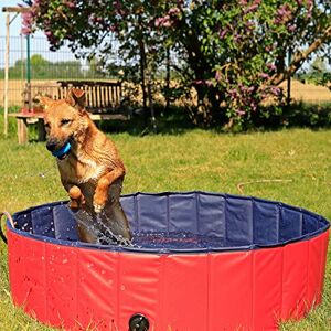 lionto Foldable dog pool made of scratch-resistant PVC material, Ø 120 cm, height 30 cm, anti-slip coating & drain plug for quick emptying, no pump required, robust children's pool, blue/red lionto Foldable dog pool made of scratch-resistant PVC material, Ø 120 cm, height 30 cm, anti-slip coating & drain plug for quick emptying, no pump required, robust children's pool, blue/red