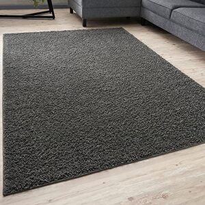 THE RUGS Living Room Rug Shaggy Soft And Elegant Carpets For The Bedrooms And Kitchen, Easy To Clean, Many Different Sizes (140x200 cm, Dark Grey) THE RUGS Living Room Rug Shaggy Soft And Elegant Carpets For The Bedrooms And Kitchen, Easy To Clean, Many Different Sizes (140x200 cm, Dark Grey)