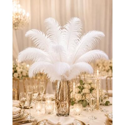 Crenze 10pcs ostrich feathers 12-14inch(30-35cm) for Home Wedding Decoration Offers 10 colors (White) Crenze 10pcs ostrich feathers 12-14inch(30-35cm) for Home Wedding Decoration Offers 10 colors (White)