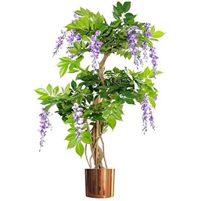Botanik UK - Purple Wisteria Tree Botanik UK - Purple Wisteria Tree