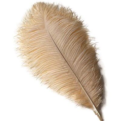 Sowder 10pcs Ostrich Feathers 12-14inch(30-35cm) for Home Wedding Decoration (champange) Sowder 10pcs Ostrich Feathers 12-14inch(30-35cm) for Home Wedding Decoration (champange)