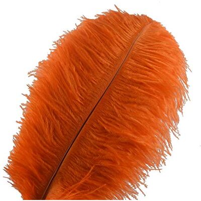 Sowder 10pcs Ostrich Feathers 12-14inch(30-35cm) for Home Wedding Decoration(orange) Sowder 10pcs Ostrich Feathers 12-14inch(30-35cm) for Home Wedding Decoration(orange)