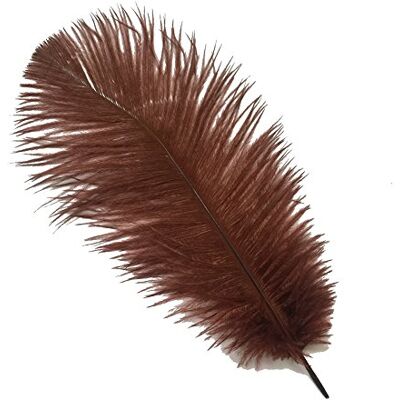 Sowder 10pcs Ostrich Feathers 12-14inch(30-35cm) for Home Wedding Decoration(brown) Sowder 10pcs Ostrich Feathers 12-14inch(30-35cm) for Home Wedding Decoration(brown)