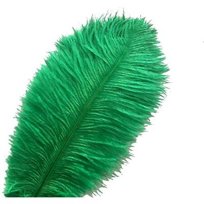 Sowder 10pcs Ostrich Feathers 12-14inch(30-35cm) for Home Wedding Decoration(dark green) Sowder 10pcs Ostrich Feathers 12-14inch(30-35cm) for Home Wedding Decoration(dark green)