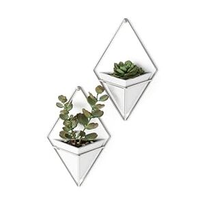 Umbra Trigg Hanging Planter Vase & Geometric Wall Decor Concrete Container Great For Succulent Plants, Air Plant, Mini Cactus, Faux Plants and More, Set of 2, Small, White/Nickel Umbra Trigg Hanging Planter Vase & Geometric Wall Decor Concrete Container Great For Succulent Plants, Air Plant, Mini Cactus, Faux Plants and More, Set of 2, Small, White/Nickel