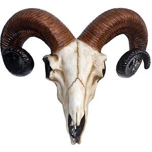 Nemesis Now Rams Skull Medium Wall Plaque 32.5cm Ivory, Resin, One Size Nemesis Now Rams Skull Medium Wall Plaque 32.5cm Ivory, Resin, One Size