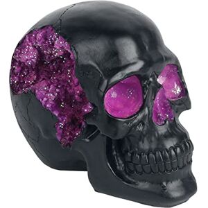 Nemesis Now Horror Skull Ornament, Resin, Black, Purple, 17cm Nemesis Now Horror Skull Ornament, Resin, Black, Purple, 17cm