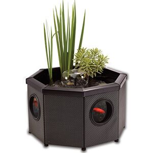 Blagdon Affinity View Octagon Living Water Feature Patio Pool Pond, with Inpond 5-in-1 2000 Filter Pump & LED Spotlight, 3 Attractive Fountain Feature Heads, 1 Planting Basket Small , Brown Blagdon Affinity View Octagon Living Water Feature Patio Pool Pond, with Inpond 5-in-1 2000 Filter Pump & LED Spotlight, 3 Attractive Fountain Feature Heads, 1 Planting Basket Small , Brown