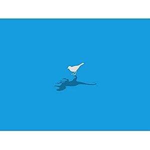 Wee Blue Coo Bird Dinosaur Shadow Unframed Wall Art Print Poster Home Decor Premium Wee Blue Coo Bird Dinosaur Shadow Unframed Wall Art Print Poster Home Decor Premium