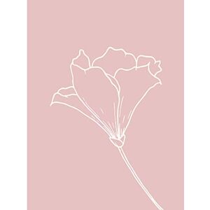 Wee Blue Coo Blush Pink Plant Flower White Unframed Wall Art Print Poster Home Decor Premium Wee Blue Coo Blush Pink Plant Flower White Unframed Wall Art Print Poster Home Decor Premium