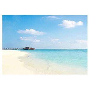 Wee Blue Coo Tropical Beach Caribbean Seaside Photo Wall Art Print Wee Blue Coo Tropical Beach Caribbean Seaside Photo Wall Art Print