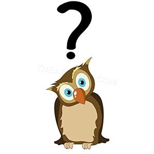 Wee Blue Coo Painting Illustration Cartoon Owl Question Mark Wall Art Print Wee Blue Coo Painting Illustration Cartoon Owl Question Mark Wall Art Print