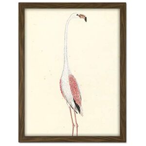 Artery8 Gordon Greater Flamingo Bird Nature Drawing Artwork Framed Wall Art Print 18X24 Inch Artery8 Gordon Greater Flamingo Bird Nature Drawing Artwork Framed Wall Art Print 18X24 Inch