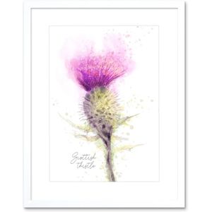 Wee Blue Coo Scottish Thistle Flower Head Watercolour Scotland Framed Wall Art Print Wee Blue Coo Scottish Thistle Flower Head Watercolour Scotland Framed Wall Art Print