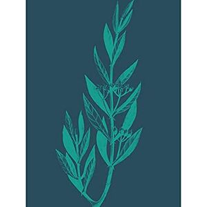 Wee Blue Coo Navy And Teal Star Flowers Unframed Art Print Poster Wall Decor 12X16 Inch Wee Blue Coo Navy And Teal Star Flowers Unframed Art Print Poster Wall Decor 12X16 Inch