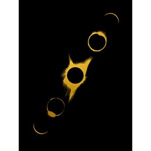 Artery8 Gold Effect Yellow Black Sun Lunar Eclipse Large Wall Art Poster Print Thick Paper 18X24 Inch Artery8 Gold Effect Yellow Black Sun Lunar Eclipse Large Wall Art Poster Print Thick Paper 18X24 Inch