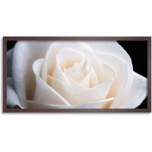 Artery8 DeSousa White Rose Flower Photo Framed Wall Art Print Long 25X12 Inch Artery8 DeSousa White Rose Flower Photo Framed Wall Art Print Long 25X12 Inch