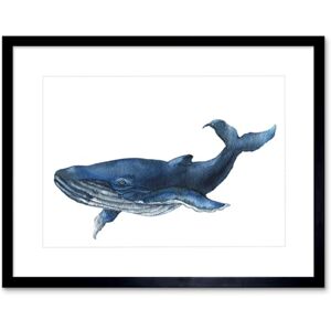 Wee Blue Coo Blue Whale Watercolour Art Print Framed Poster Wall Decor 9x7 inch Wee Blue Coo Blue Whale Watercolour Art Print Framed Poster Wall Decor 9x7 inch