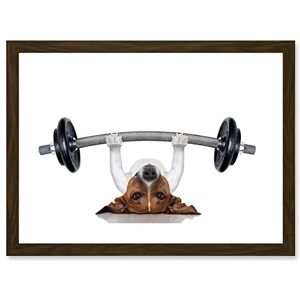 Wee Blue Coo Funny Photo Jack Russell Dog Personal Trainer Weight Lifter Artwork Framed Wall Art Print A4 Wee Blue Coo Funny Photo Jack Russell Dog Personal Trainer Weight Lifter Artwork Framed Wall Art Print A4