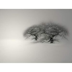 Wee Blue Coo Composition Winter Scene Trees Snow Cold Frozen Frost Art Canvas Print Wee Blue Coo Composition Winter Scene Trees Snow Cold Frozen Frost Art Canvas Print