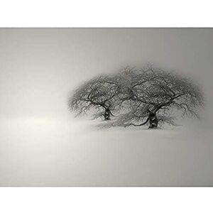 Wee Blue Coo Mp Composition Winter Scene Trees Snow Cold Frozen Frost Art Large Art Print Poster Wall Decor 18x24 inch Wee Blue Coo Mp Composition Winter Scene Trees Snow Cold Frozen Frost Art Large Art Print Poster Wall Decor 18x24 inch