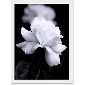Artery8 - Nature Black White Rose Petal Flower - A4 - Framed Wall Art Print Artery8 - Nature Black White Rose Petal Flower - A4 - Framed Wall Art Print