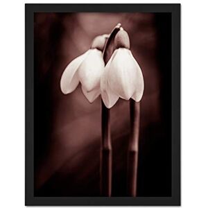 Wee Blue Coo Two Snowdrops Flowers Artwork Framed Wall Art Print 18X24 Inch Wee Blue Coo Two Snowdrops Flowers Artwork Framed Wall Art Print 18X24 Inch