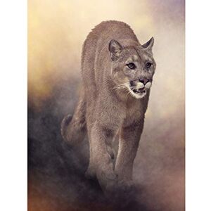 Wee Blue Coo Mountain Lion Cougar Illustration Art Print Poster Wall Decor Wee Blue Coo Mountain Lion Cougar Illustration Art Print Poster Wall Decor