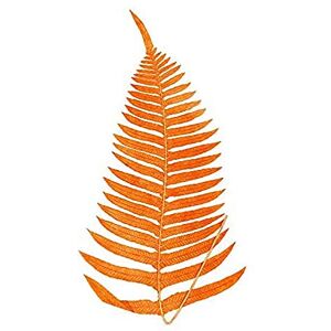 Wee Blue Coo Botanics Red Orange Fern Unframed Art Print Poster Wall Decor 12x16 inch Wee Blue Coo Botanics Red Orange Fern Unframed Art Print Poster Wall Decor 12x16 inch