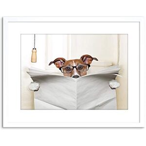 Wee Blue Coo Photo Mock Jack Russell Toilet Reading Newspaper Art Print Framed Poster Wall Decor 9x7 inch Wee Blue Coo Photo Mock Jack Russell Toilet Reading Newspaper Art Print Framed Poster Wall Decor 9x7 inch