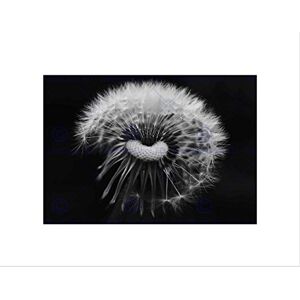 Wee Blue Coo PHOTO COMPOSITION DANDELION FLOWER SEEDS WISH BLACK FRAMED ART PRINT B12X13051 Wee Blue Coo PHOTO COMPOSITION DANDELION FLOWER SEEDS WISH BLACK FRAMED ART PRINT B12X13051