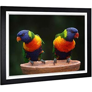 Big Box Art Framed Print of Rainbow Lorikeet Parrot Birds Design Wall Art Picture Home Decor for Kitchen, Living, Dining Room, Bedroom, Hallway, Office, Black, A2 / 24.5x18 Inch / 62x45cm Big Box Art Framed Print of Rainbow Lorikeet Parrot Birds Design Wall Art Picture Home Decor for Kitchen, Living, Dining Room, Bedroom, Hallway, Office, Black, A2 / 24.5x18 Inch / 62x45cm
