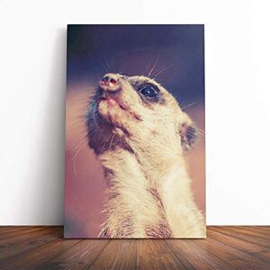 Big Box Art Canvas Print Wall Art Meerkat 5 Mounted and Stretched Box Frame Picture Home Decor for Kitchen, Living, Dining Room, Bedroom, Hallway, Multi-Colour, 30x20 Inch Big Box Art Canvas Print Wall Art Meerkat 5 Mounted and Stretched Box Frame Picture Home Decor for Kitchen, Living, Dining Room, Bedroom, Hallway, Multi-Colour, 30x20 Inch