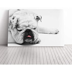 Big Box Art Canvas Print Wall Art White British Bulldog Dog (1) Mounted and Stretched Box Frame Picture Home Decor for Kitchen, Living, Dining Room, Bedroom, Hallway, Multi-Colour, 24x16 Inch Big Box Art Canvas Print Wall Art White British Bulldog Dog (1) Mounted and Stretched Box Frame Picture Home Decor for Kitchen, Living, Dining Room, Bedroom, Hallway, Multi-Colour, 24x16 Inch