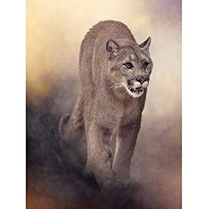 Wee Blue Coo Mountain Lion Cougar Illustration Unframed Art Print Poster Wall Decor 12x16 inch Wee Blue Coo Mountain Lion Cougar Illustration Unframed Art Print Poster Wall Decor 12x16 inch